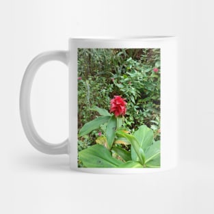 Kula Botanical Gardens Study 42 Mug